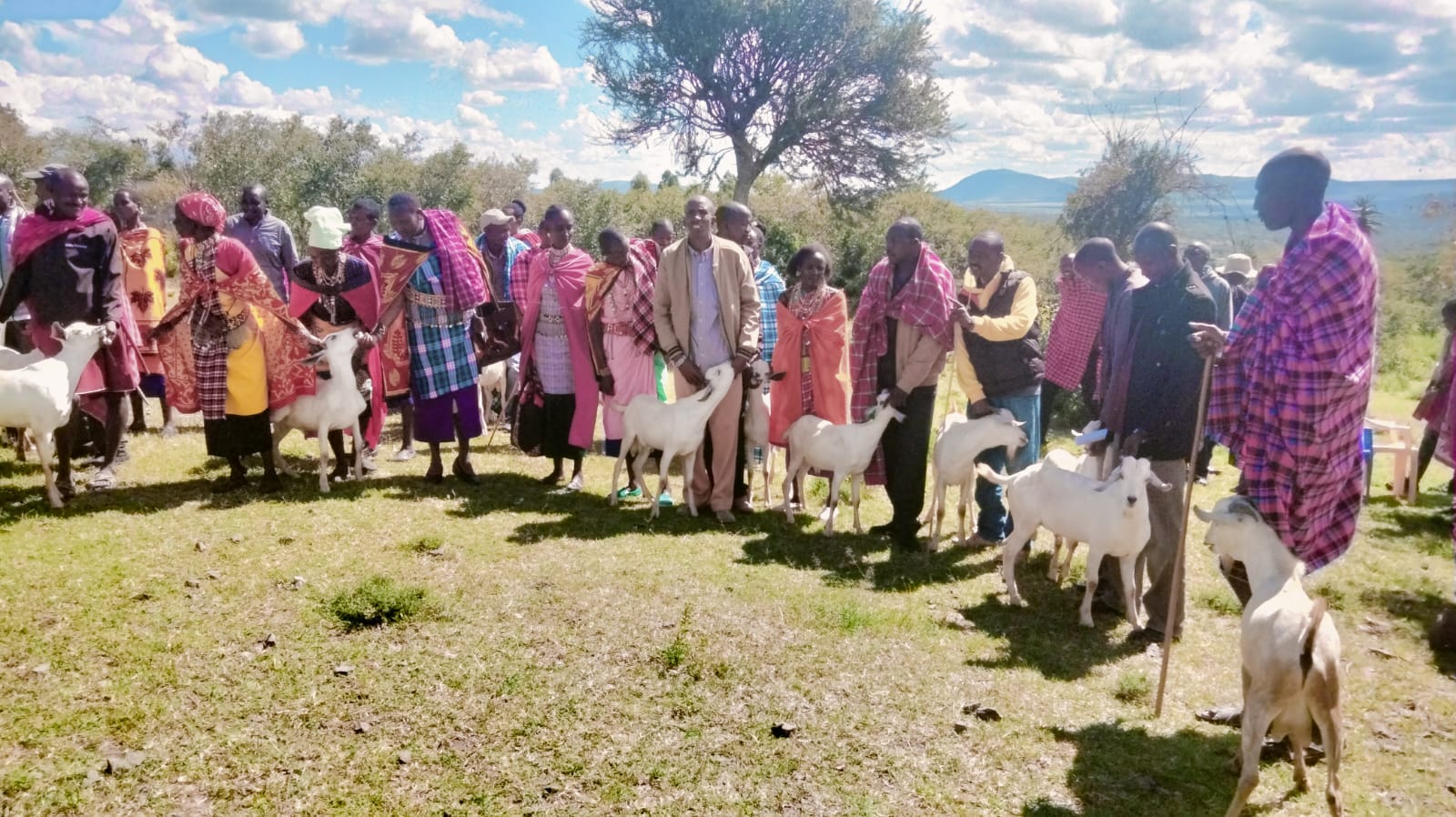 Agri- FI Climate Smart Agricultural Productivity Project- Galla Goats Value Chain project