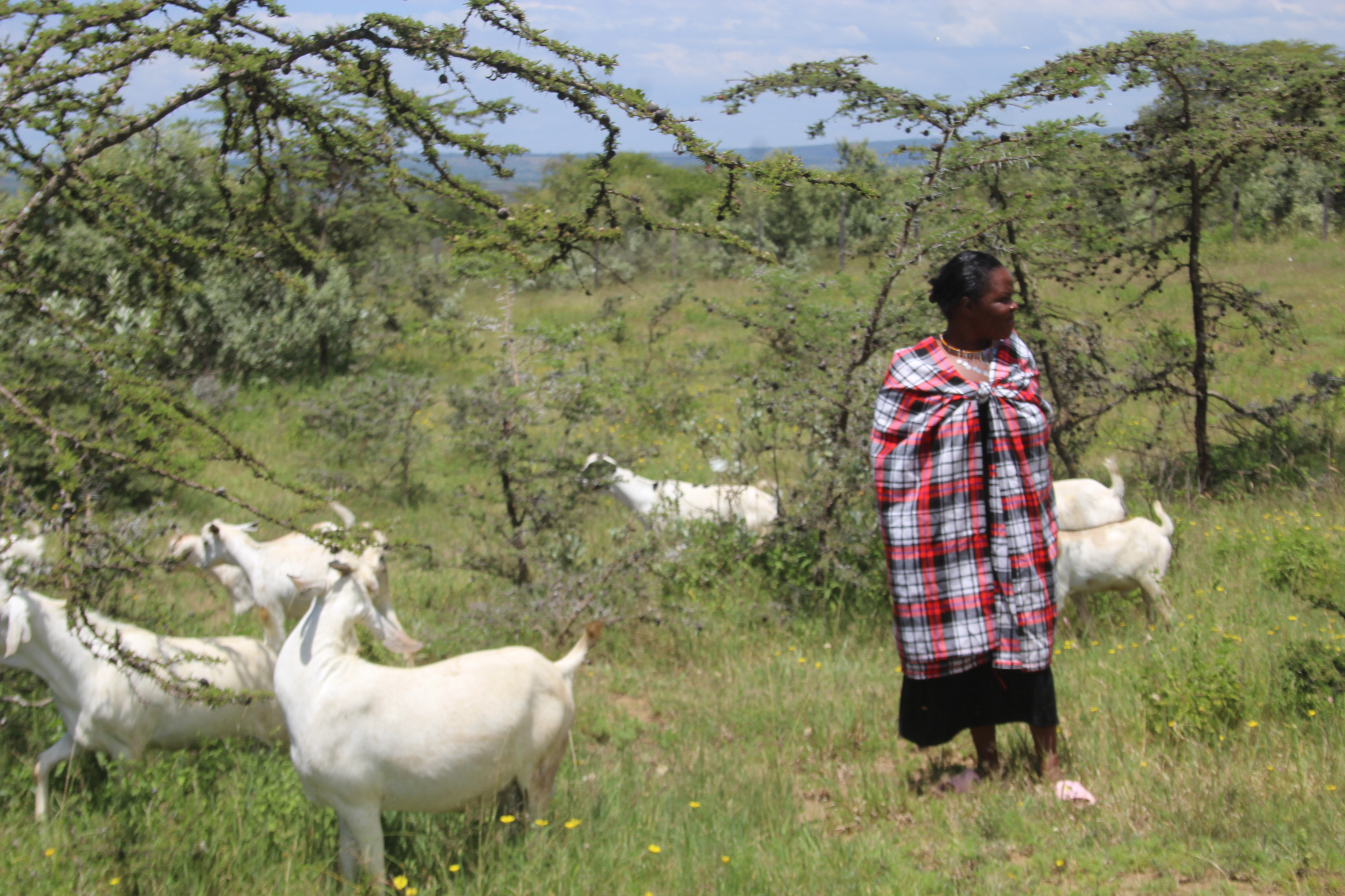 Empowering Against the Odds: Inspirational story of a Woman who Champions Modern Family Planning in the Community