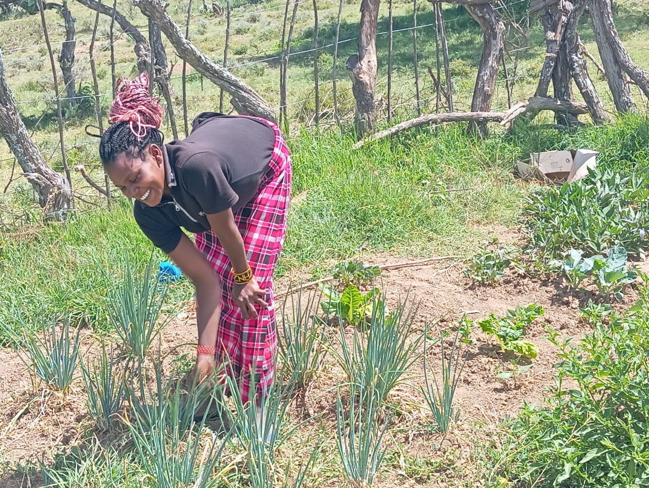 "Erupata’s Green Innovations: How Kitchen Gardens Are Transforming Lives"