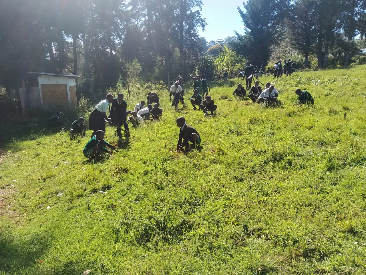 Climate Change Response