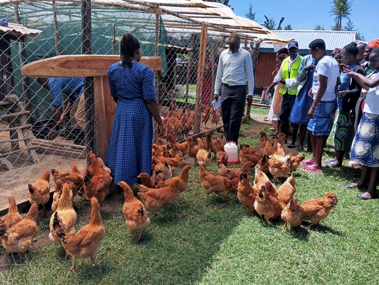 Livelihoods and Economic Empowerment